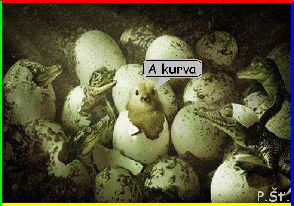 Vtip Nerařazeny