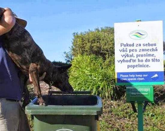 Vtip Nerařazeny