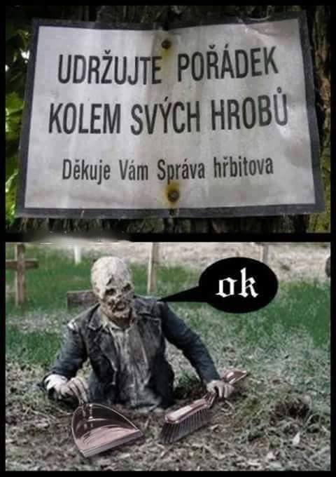 Vtip Cedule