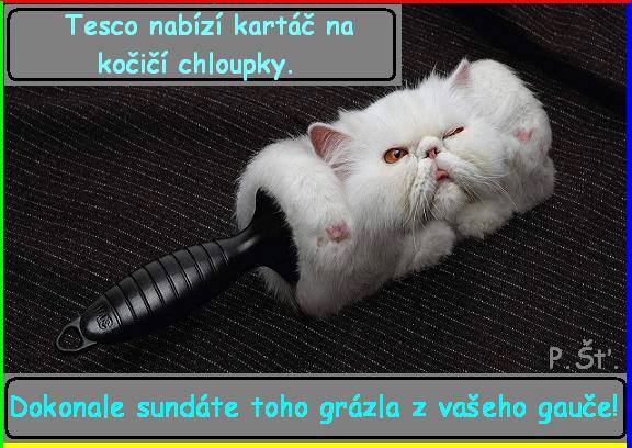 Vtip Nerařazeny