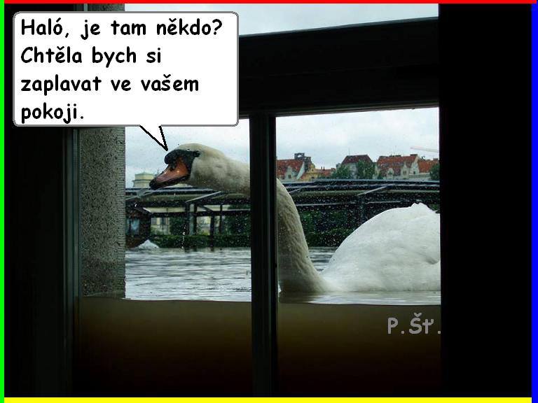 Vtip Nerařazeny
