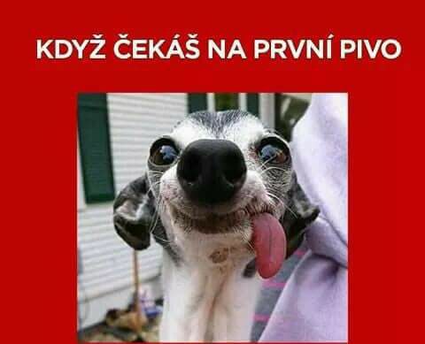 Vtip Alkohol