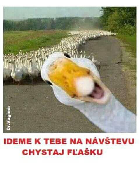Vtip Alkohol