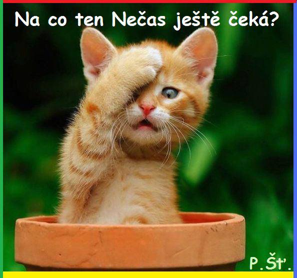 Vtip Nerařazeny