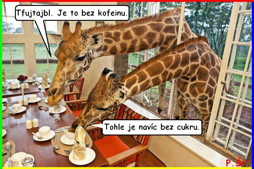 Vtip Nerařazeny