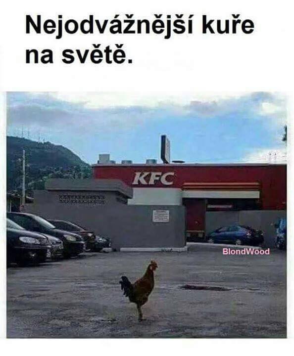 Vtip Zvířátka