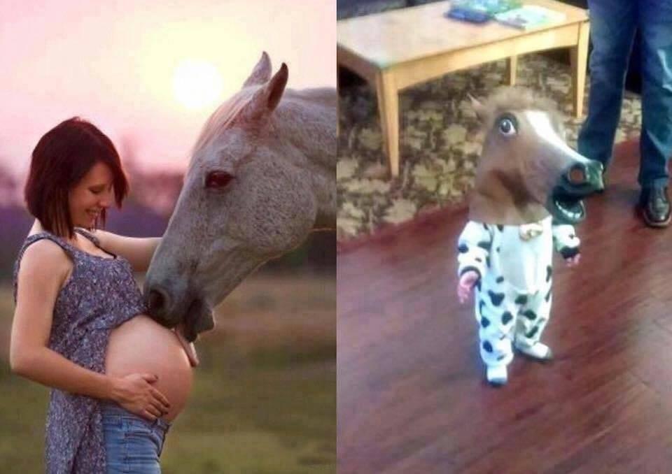 Vtip Zvířátka