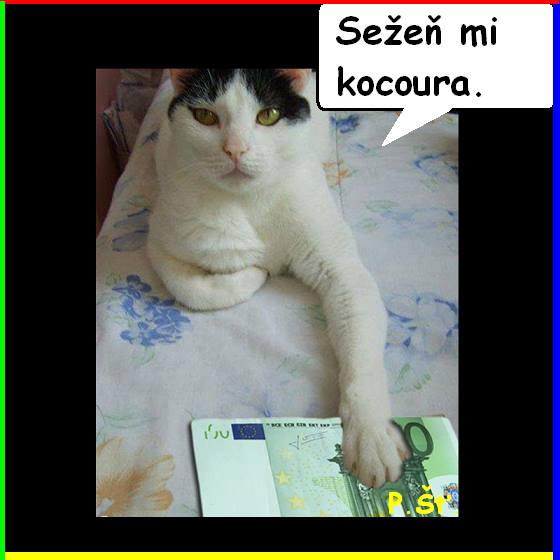 Vtip Nerařazeny
