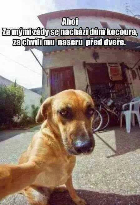 Vtip Zvířátka