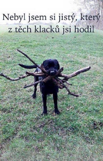 Vtip Zvířátka