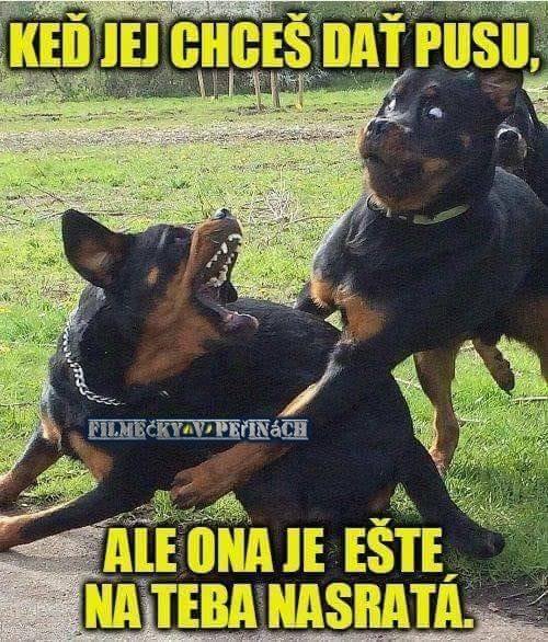 Vtip Zvířátka