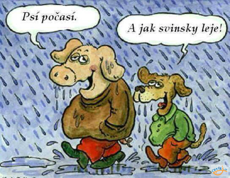 Vtip Zvířátka