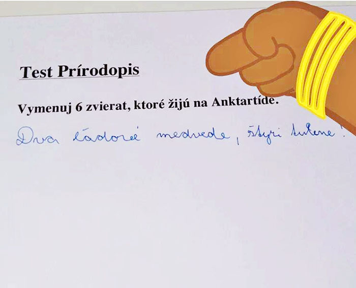 Vtip Zvířátka