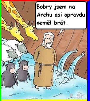 Vtip Nerařazeny
