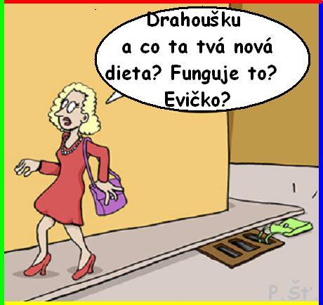 Vtip Nerařazeny