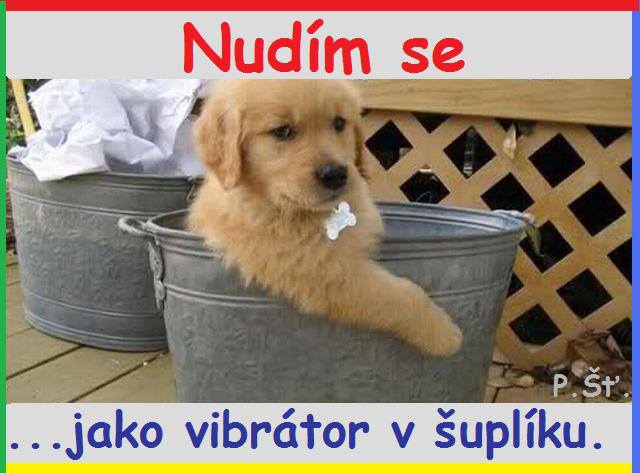 Vtip Nerařazeny
