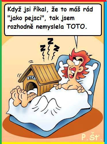 Vtip Nerařazeny