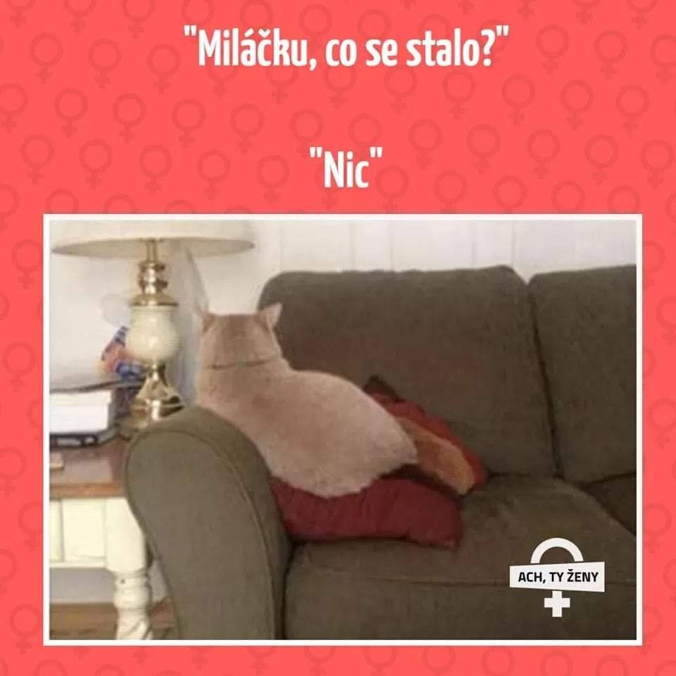 Vtip Ze života