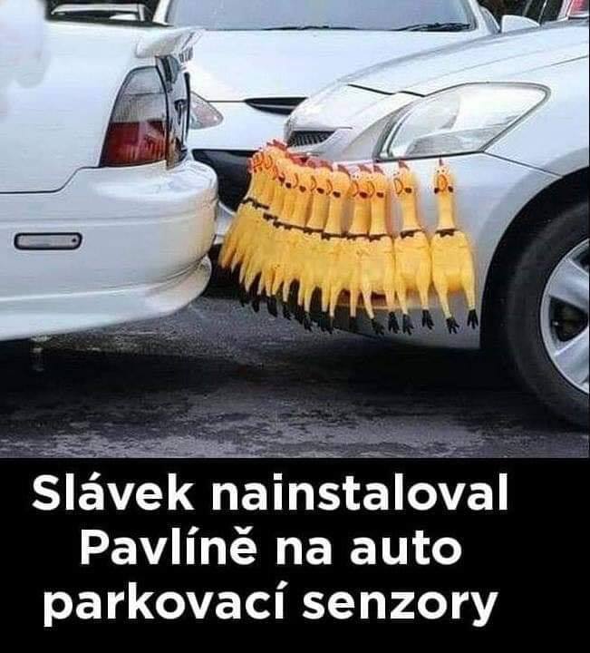 Vtip Ze života