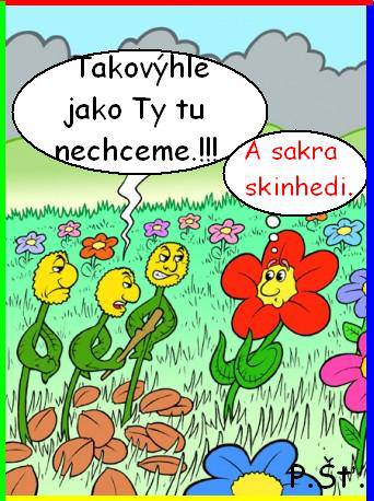 Vtip Nerařazeny