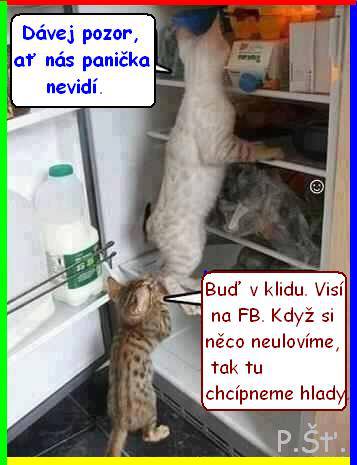 Vtip Nerařazeny