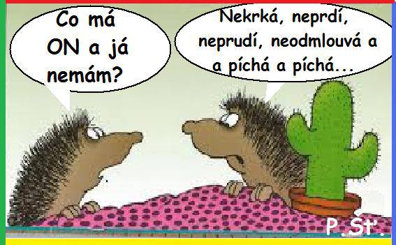 Vtip Nerařazeny