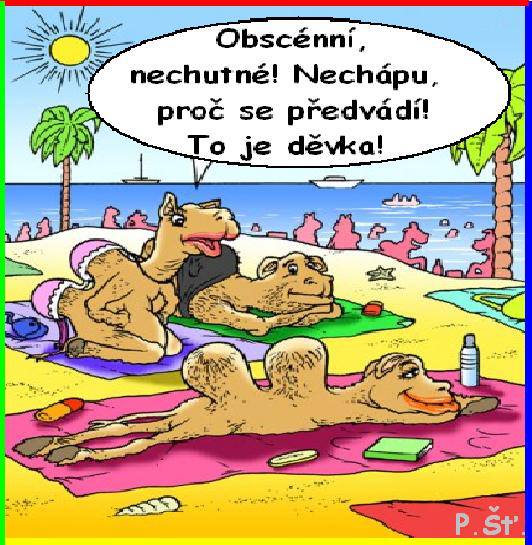 Vtip Nerařazeny
