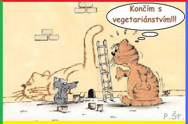 Vtip Nerařazeny