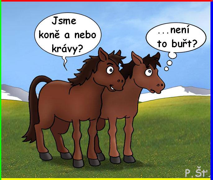 Vtip Nerařazeny
