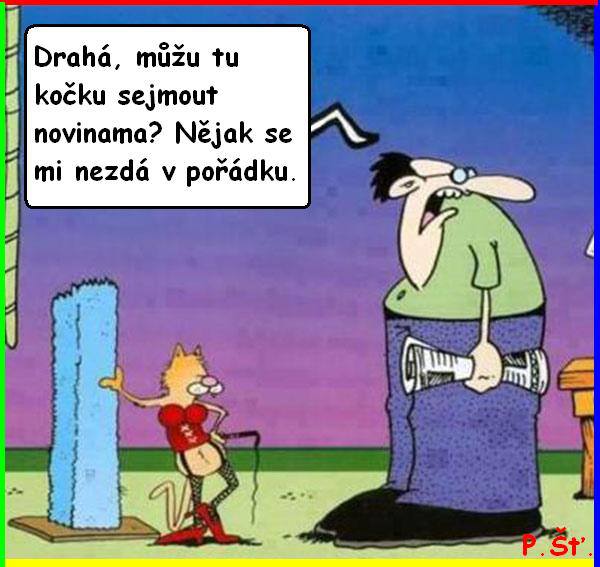 Vtip Nerařazeny