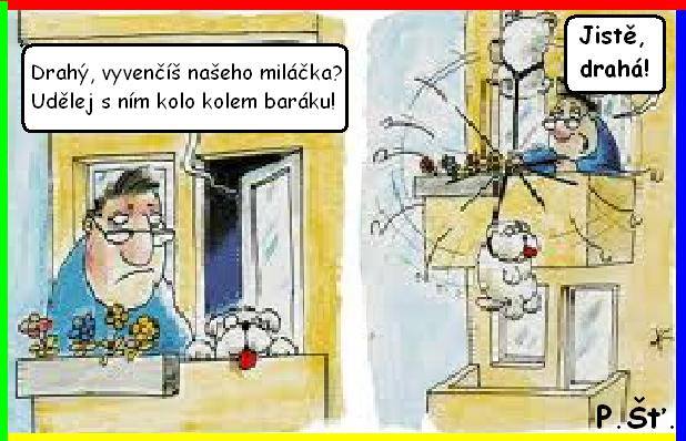Vtip Nerařazeny
