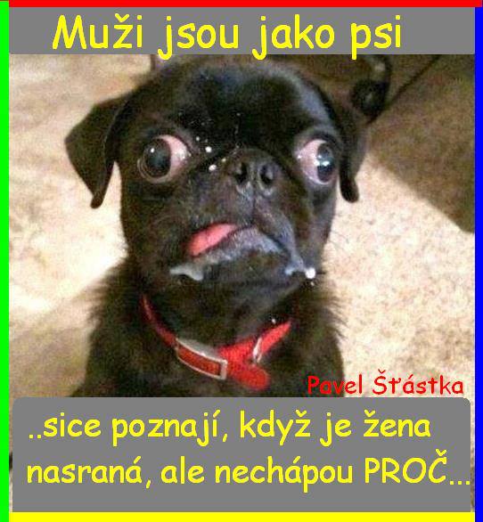 Vtip Nerařazeny