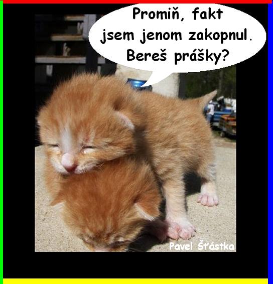 Vtip Nerařazeny