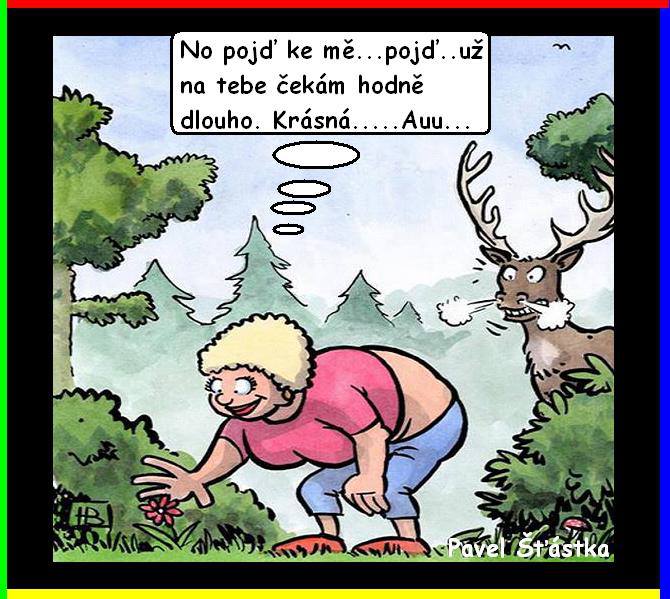 Vtip Nerařazeny