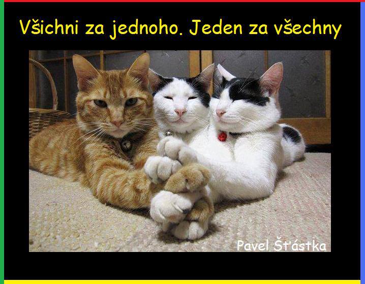 Vtip Nerařazeny