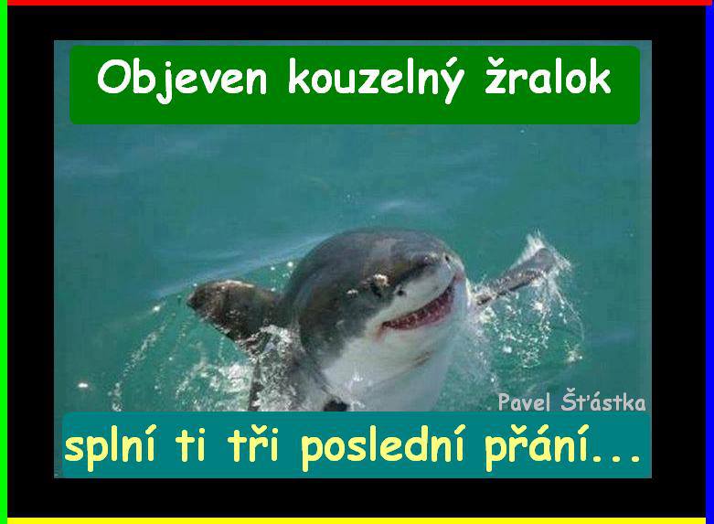 Vtip Nerařazeny