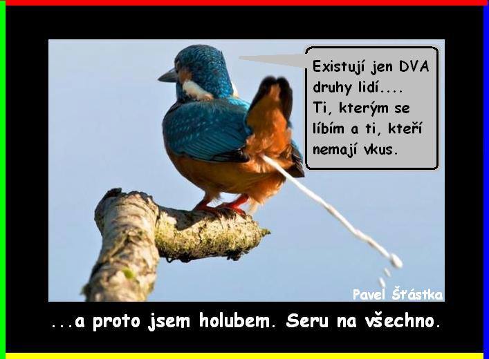 Vtip Nerařazeny