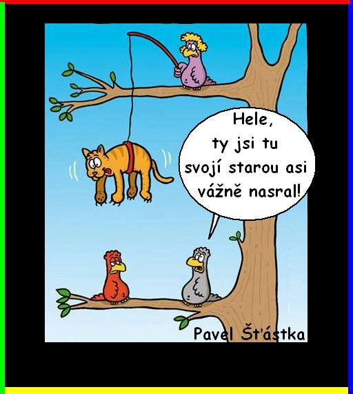 Vtip Nerařazeny
