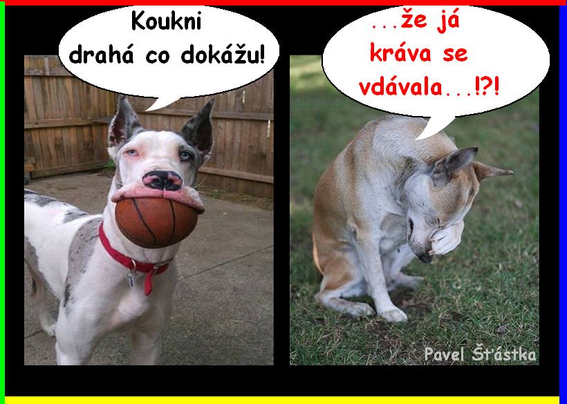 Vtip Nerařazeny