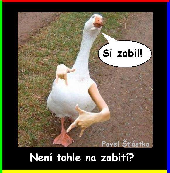 Vtip Nerařazeny