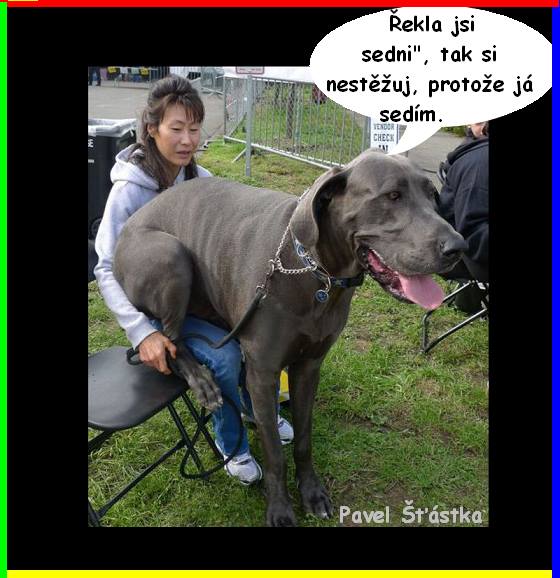 Vtip Nerařazeny