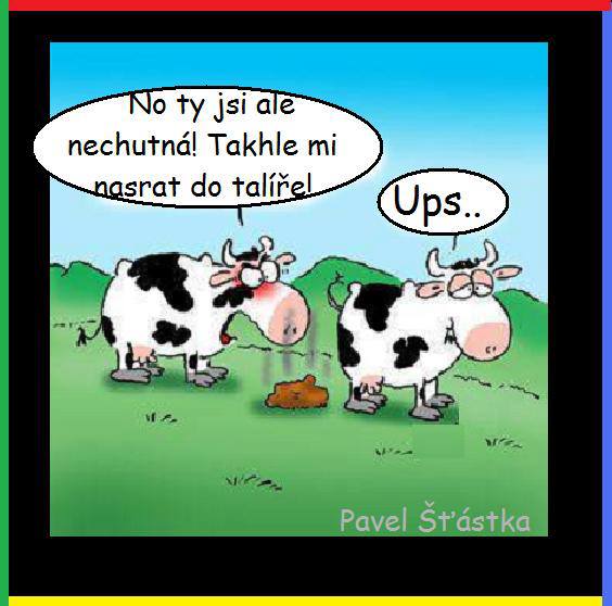 Vtip Nerařazeny