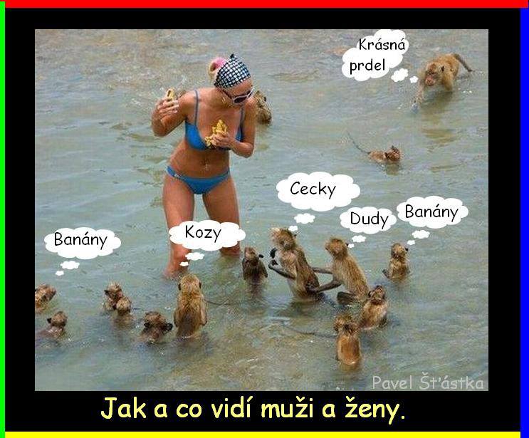 Vtip Nerařazeny