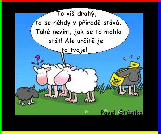 Vtip Nerařazeny