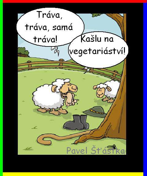 Vtip Nerařazeny