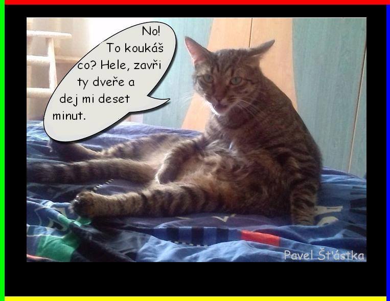 Vtip Nerařazeny
