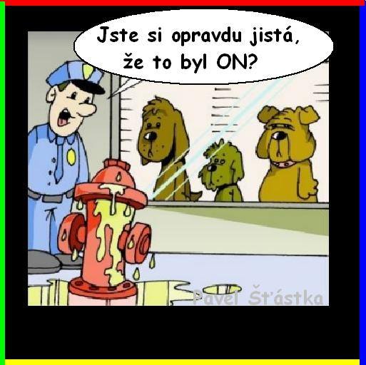 Vtip Nerařazeny