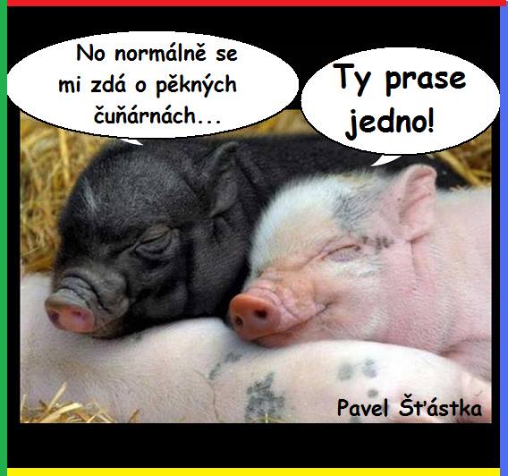 Vtip Nerařazeny