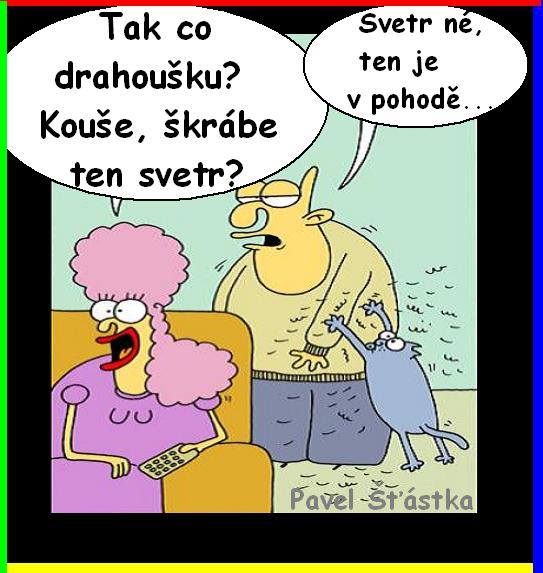 Vtip Nerařazeny
