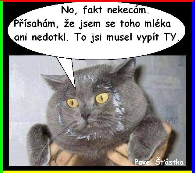 Vtip Nerařazeny
